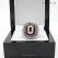 2010 Ohio State Buckeyes Big Ten Championship Ring/Pendant(Premium)